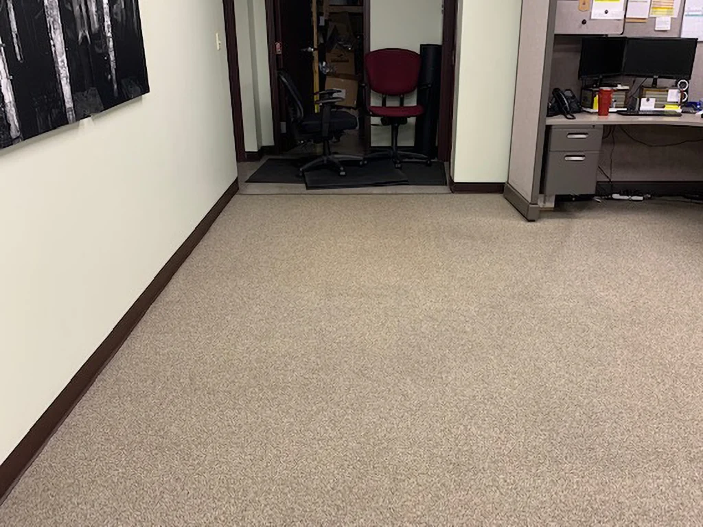 Carpet After Office