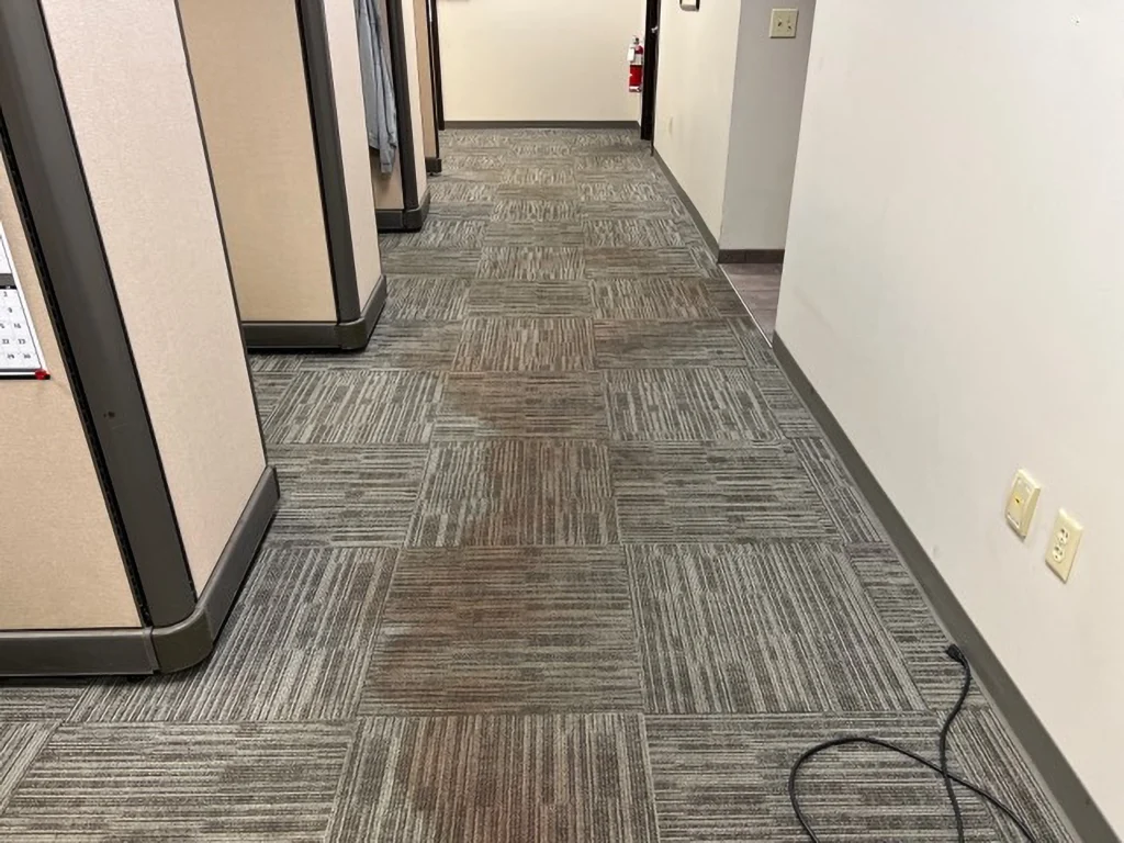 Carpet Before - 4