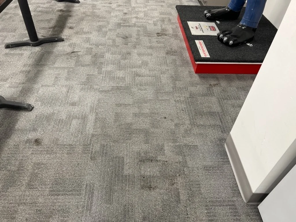 Carpet Before - 5